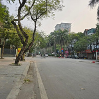Nhà Mặt Phố Nguyễn Khuyến Hà Đông, 86M2*4T,Mặt Tiền4.2M Đường 40M Kinh Doanh, Giá Đầu Tư Nhỉnh 350 Triệu/M2