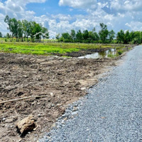 850 Vườn + 150 Thổ Cư ( 1000Mv ) Giá Chỉ 1,2 Tỷ Hết Đất , Cáchcó Thương Lượng816 Chỉ 200M .