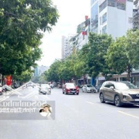 Bán Đất Mp Khúc Thừa Dụ - Diện Tích Lớn, Vỉa Hè Rộng, 1 Sổ Full Thổ Cư Cực Hiếm Giá Chỉ 205 Tỷ
