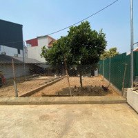 Chính Chủ Bán Lô 60M Hạ Bằng- Thạch Thất Ngay Gần Khu Đấu Giá