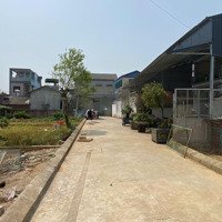 Chính Chủ Bán Lô 60M Hạ Bằng- Thạch Thất Ngay Gần Khu Đấu Giá