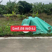 Bán Đất Quán Trang, An Lão, Hải Phòng .