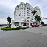 Bán Lô 300M2 Siêu Vip Tại Khu Biệt Thự Sao Đỏ, Anh Dũng, Dương Kinh. Diện Tích: 300M2.Vị Trí Đẹp