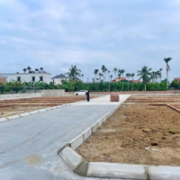 Bán Đất Ngay Sau Chợ Bứa Tại Thái Sơn An Lão Hải Phòng Giá Chỉ Hơn 400 Triệu/Lô