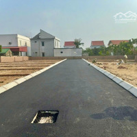 Bán Đất Ngay Sau Chợ Bứa Tại Thái Sơn An Lão Hải Phòng Giá Chỉ Hơn 400 Triệu/Lô