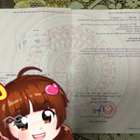 Đất Đấu Giá Trung Tâm Xã Hợp Đồng Chương Mỹ, Hn