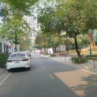 Bán Biệt Thự Roman Plaza,Tố Hữu,Diện Tích190M * 4 Tầngmặt Tiền11M View Vườn Hoa Kinh Doanh Đỉnh Nhỉnh 46 Tỷ