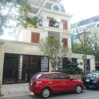 Bán Biệt Thự Roman Plaza,Tố Hữu,Diện Tích190M * 4 Tầngmặt Tiền11M View Vườn Hoa Kinh Doanh Đỉnh Nhỉnh 46 Tỷ