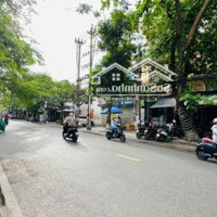 Bán Nhà Tại Phố Hai Bà Trưng, Cát Dài, Lê Chân, Hải Phòng, 31,25 Tỷ, 125M2