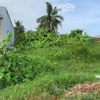Săn Đất Giá Mềm Phong Thới, Vũng Liêm, Vĩnh Long Cách Trường Thpt Nguyễn Hiếu Tự 500M. 120M2/ 500 Triệu