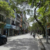 Thuỵ Khuê - Ba Bước Ra Hồ Tây - Nhà Đẹp - Ở Ngay - Mặt Tiền Lý Tưởng