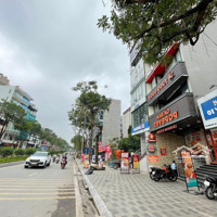 Toà Mặt Phố Quận Tây Hồ 8 Tầng Thang Máy, Mặt Tiền 6M, Dòng Tiền Tốt Kinh Doanh, Giá Chào: 44 Tỷ