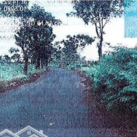 Bán Đgts Đất Tại Xã Tân Tập, Huyện Cần Giuộc, Tỉnh Long An
