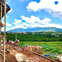 Đất 8X30M, Thổ Cư, Cách Chợ Đinh Lạc Di Linh 3Km