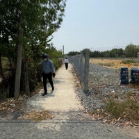Cần Bán Gấp Đất Đẹp Tại Mặt Tiền Đường Trần Quang Nhơn - Xã Bình Khánh - Huyện Cần Giờ