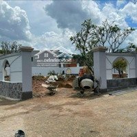 Bán Nhà Vườn Siêu Đẹp Tại Xã Đại Phước Đối Diện Đảo Kim Cương Swanbay