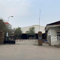 Cho Thuê Nhà Xưởng 8000 M2 Tại Bình Xuyên - Vĩnh Phúc