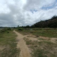 Mảnh Đất Nhỏ Xinh 10Ha Cần Sang Lại Ở Thôn Xuân Cam,Xuân Sơn, Vạn Ninh,265 Tỷ, Hàng Hot