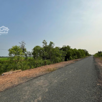 Bán Đất Tại Tân Thành, Mộc Hóa, Long An, 2,335Tỷ, 17,300M2 - Hot. View Đẹp