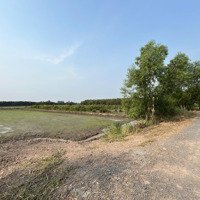 Bán Đất Tại Thạnh Phước, Thạnh Hóa, Long An 2,6 Tỷ, 20000M2 Đẹp, Nhiều Tiện Ích Chính Chủ