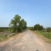 Bán Đất Tại Thạnh Phước, Thạnh Hóa, Long An 2,6 Tỷ, 20000M2 Đẹp, Nhiều Tiện Ích Chính Chủ