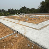 Chuyển Nhượng 2 Lô Đất Phân Lô Liền Nhau, Có Hai Và Ba Mặt Tiền, Xã Tu Vũ, Thanh Thuỷ, Phú Thọ