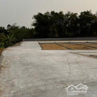 Chuyển Nhượng 2 Lô Đất Phân Lô Liền Nhau, Có Hai Và Ba Mặt Tiền, Xã Tu Vũ, Thanh Thuỷ, Phú Thọ