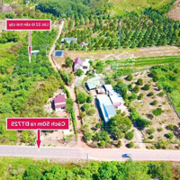 Bán Gấp Đất Nền 200 M2 Tại Mỹ Đức, Đạ Tẻh, Lâm Đồng, 199 Triệu Vnd