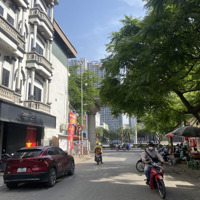 Chính Chủ Bán Nhà Trần Quốc Vượng Ngõ Thông Rộng Ba Gác Đua 100M Ra Phốdiện Tích270M Giá Đầu Tư 43,2 Tỷ