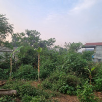 Chỉ Hơn 1 Tỷ Có Ngay Lô Đất Đẹp Rẻ Tại Đồng Vàng Phú Mãn Quốc Oai Hà Nội Giá Rẻ Bèo