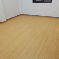 Chính Chủ Bán Nhà Bạch Mai - Hai Bà Trưng - 25M2 - 5 Tầng - Giá Bán 4.35 Tỷ