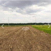 Chính Chủ Bán 4800M2, Giá Chỉ 13 Tỷ. Xuân Thới Thượng, Hốc Môn, Tp Hcm