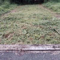 Cần Bán Gấp Lô Đất 100M2 Thổ Cư Vuông Vức Tại Ấp 4 Xã An Viễn,Trảng Bom Đồng Nai Có Sổ Hồng Riêng