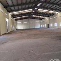 Cho Thuê Kho 100M2, 600M2, 1000M2 An Phú - An Khánh