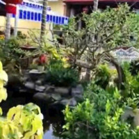 Cần Bán Nhà Gỗ Ba Gian Nghỉ Dưỡng Lý Tưởng Mặt Tiền Đường An Hạ, Bình Chánh