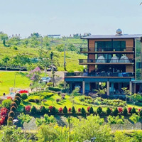 Cần Bán Nhanh Lô Đất Tại Bảo Lộc, Ngay Cạnh Dãy Homestay Đang Kd 125M2, Giá Chỉ 799 Triệu