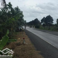 Đất Mặt Tiền Quốc Lộ 65C, Đoạn Gần Cầu So Đũa, Xã Nhơn Nghĩa, Huyện Phong Điền