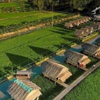 BÁN 54.751M2 ĐẤT SẴN SỔ MẶT TIỀN TỈNH LỘ 818-BÌNH THÀNH-ĐỨC HUỆ