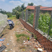 Đất Tân Hiệp Tân Bình Dĩ An Bd 625M2 Đi Cầu Vượt Linh Xuân 13Km Làm Nhà Vườn, Kho Đẹp 0906309279