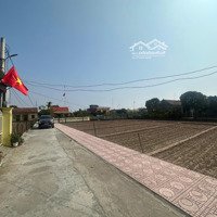 Cần Bán Nhanh Lô Đất Tại Trị Trấn Quất Lâm Giá 1Tỉ1 Cách Bãi Tắm 200M Vị Trí Cực Đẹp.