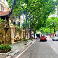Bán Nhà Nguyễn Thị Định,Phân Lô,Kinh Doanh, Nhỉnh 19Tỷ, 64M2 ,Mặt Tiền 5,3M, 2 Mặt Ngõ!