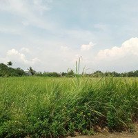 Đất Khủng 2595M2 Có 26 Tỷ X Mặt Tiền Nguyễn Thị Điệp Đông Thạnh Hóc Môn Tp. Hồ Chí Minh