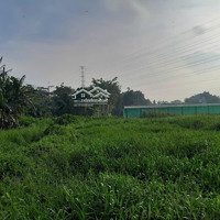Đất Khủng 2595M2 Có 26 Tỷ X Mặt Tiền Nguyễn Thị Điệp Đông Thạnh Hóc Môn Tp. Hồ Chí Minh