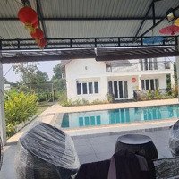 Giảm Sâu - Bán Căn Biệt Thư Nghỉ Dưỡng, Thế Đất Siêu Đẹp Ở Cư Yên Diện Tích 4200M2