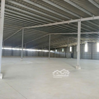 Cho Thuê Kho 1000M2, 2000M2, 3300M2 Khu Bầu Thành Long Điền
