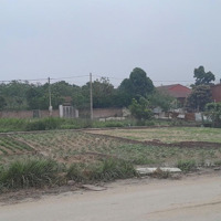 Bán Đất Liền Kề Đường Oto Tải Đỗ Ngày Đêm, View Vườn Hoa Mặt Tiền 5 Mét Tại Lệ Chi Gia Lâm