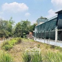 Chú Gửi Bán Lô Đất An Phú An Hoà Trảng Bàngmặt Tiềnđường Nhựa Ngang 8X50M Giá Chỉ 650 Triệu/Shr