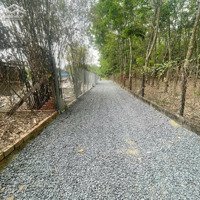 Bán Lô Đất Đẹp Ở Trảng Bàng Nằm Sau Kcn Phước Đông, Giá Chỉ 450 Triệu Diện Tích 126M2 Full Thổ Cư/Shr
