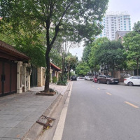 Biệt Thự Cực Hiếm, Giá Tốt, Khu Đô Thị Định Công, Trần Nguyên Đán, Sát V.đai 2.5 Thông Lê Trọng Tấn