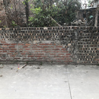 Bán Đất Đẹp Tại Xóm Đầm Vân Nội 81 Triệu, 58M2, Mặt Tiền 4.5M